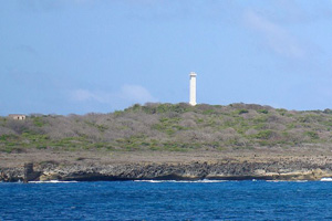 Ilha Rata